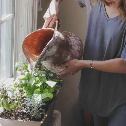 Comment économiser de l’eau tout en jardinant en appartement?