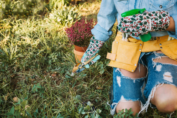 Jardin resilient : comment allier esthétique, écologie et économie d’eau